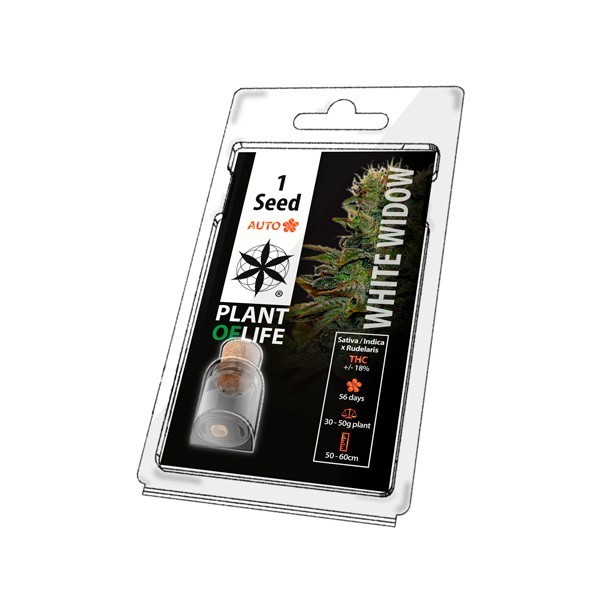 Graine de collection WHITE WIDOW AUTO