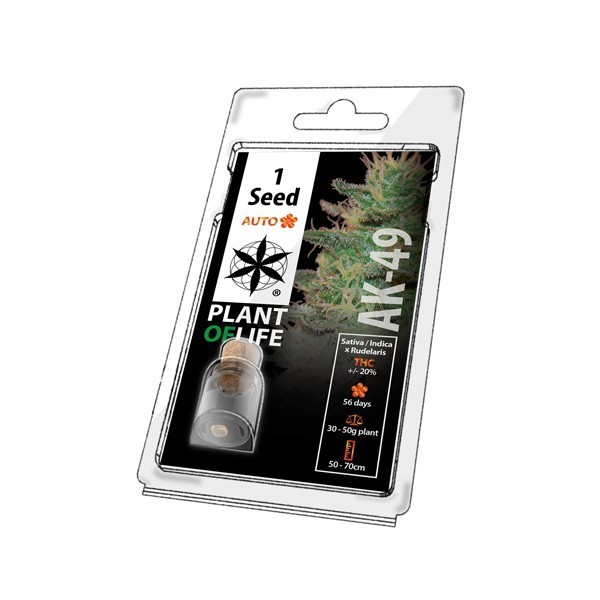 Graine de collection AK-49 AUTO