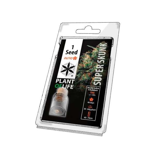 Graine de collection SUPER SKUNK AUTO