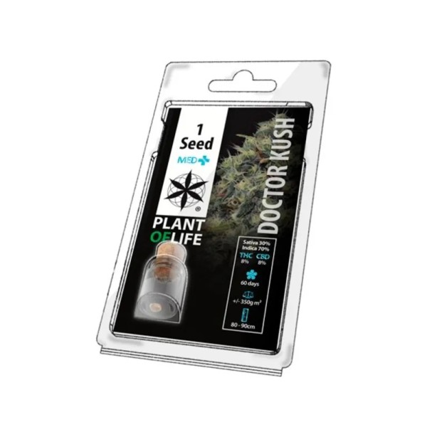Graine de collection DOCTOR KUSH MED+