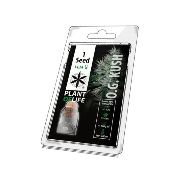 Graine de collection OG KUSH FÉMINISÉE| PLANT OF LIFE