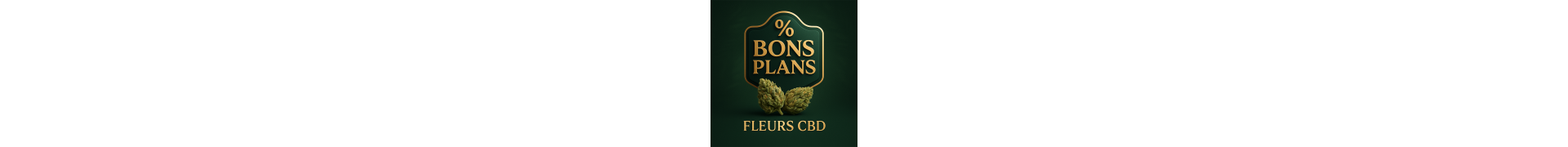 Bons plans fleurs cbd